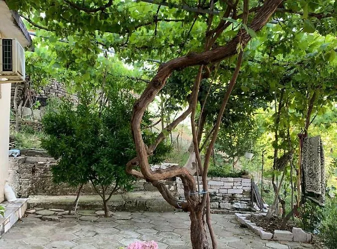 Isaraj Guest House
