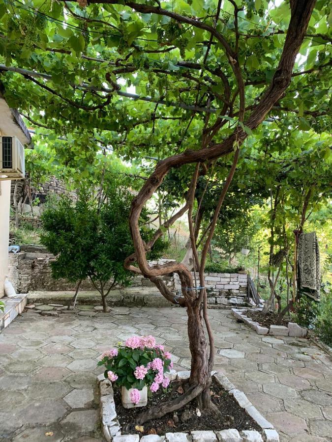Homestay Isaraj Gjirokaster